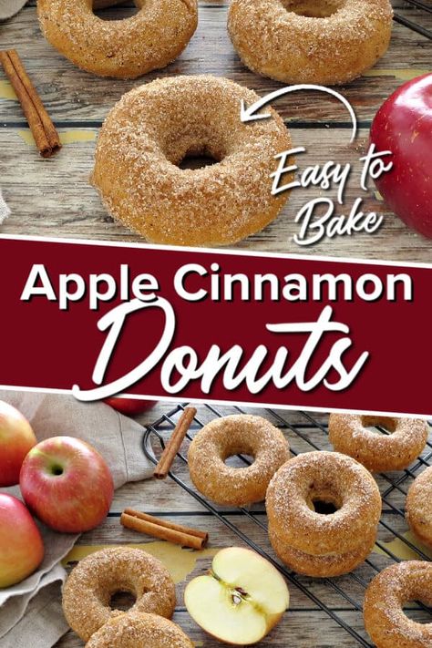 Johnny Appleseed Recipes, Apple Cinnamon Donut, Baked Apple Cinnamon, Baked Doughnut, Apple Doughnut, Doughnut Recipes, Homemade Donuts Recipe, Apple Donuts, Cinnamon Donuts