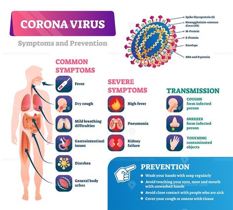 Honey Medicine, Disease Infographic, Fever Symptoms, Illustration Infographic, Home Safety Tips, Disease Symptoms, High Fever, Prepper Survival, Preventative Health