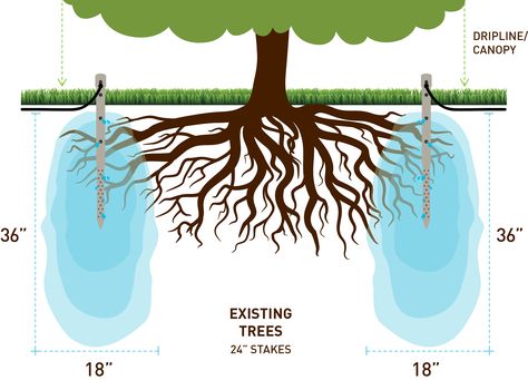 Watering Trees, Trees Landscaping, Plant Watering System, Landscaping Around Trees, Aquascape Design, Farm Plans, Vegetable Garden Planning, Watering System, Landscape Construction