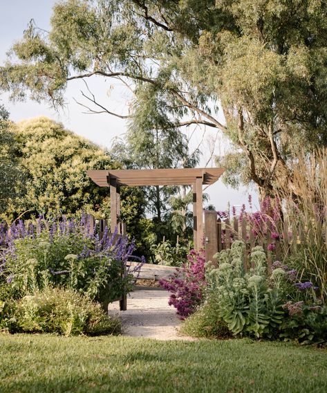 A Romantic + Productive Eltham Front Garden Papaver Poppy, Garden Australia, Ashley James, Dutch Gardens, Front Garden Design, Victorian Garden, Wildflower Meadow, Coastal Gardens, Family Garden