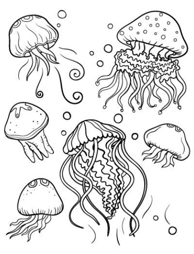 jellyfish coloring page Jellyfish Coloring Page, Jellyfish Coloring, Fish Coloring Page, Jellyfish Art, Rainbow Canvas, Printable Animals, Creature Drawings, Animal Coloring, Ocean Animals