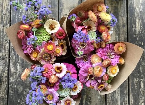 Straw Flowers Bouquet, Cockscomb Flower Bouquet, Everlasting Daisies, Straw Flowers Dried, Dried Strawflowers, Market Bouquets, Zinnia Bouquet, Floral Stand, Garden Business