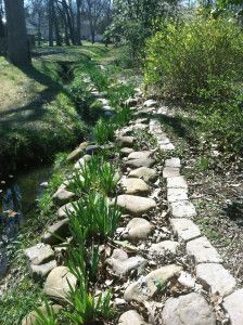 Got fast-moving water in your yard? I used a combination of landscaping stones and flowering plants to beautify the banks and retain the soil/reduce erosion along the banks of a stream in my back yard. #erosioncontrol Creekside Landscaping, Backyard Stream, Fast Running, Mulch Landscaping, Indoor Flowering Plants, Hillside Garden, Landscape Stone, Backyard Water Feature, Natural Pond