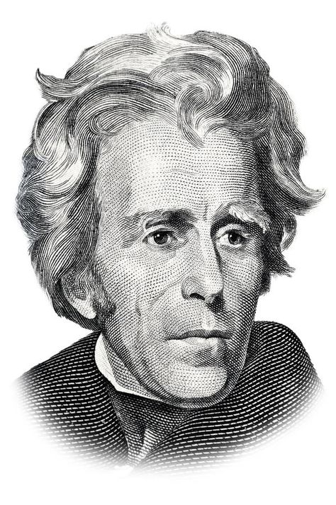 Andrew Jackson. Isolated on white , #Ad, #Jackson, #Andrew, #white, #Isolated #ad 100 Dollar Bill Tattoo, Red Aesthetic Gif, Black And Red Aesthetic, Twenty Dollar Bill, Celebrity Photography, Andrew Jackson, Jackson's Art, American Presidents, Tattoo Sleeve Designs