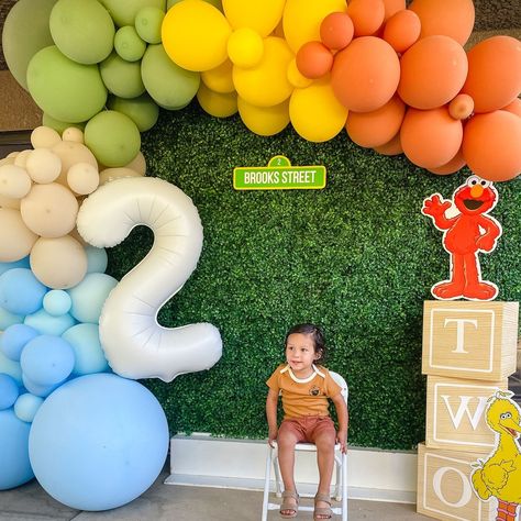 This birthday theme is TWO CUTE not to share! The colors used in this Sesame Street Balloon garland are bold and a little retro, perfect for so many different occasions! Birthdays, retro bridal showers, baby showers, and more! @modernlivingmama created this perfect Sesame Street birthday theme backdrop for Brooks! Seriously, head to her profile to see all of the fun party details! #two #2ndbirthday #twoyearold #secondbirthday #sesamestreet #sesamestreetbirthday #birthdayparty #birthdayparty... Red And Orange Balloon Garland, Sesame Street Theme Birthday Party, Neutral Sesame Street Party, Sesame Street Photo Backdrop, 2nd Birthday Balloon Decorations, Sesame Street 2nd Birthday Party Ideas, Vintage Sesame Street Party, Pastel Sesame Street Party, Modern Sesame Street Party