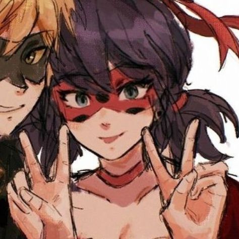 mlb, miraculous ladybug, ladybug, catnoir, cr: ?? Miraculous Ladybug Ladybug, Mlb Miraculous, Matching Pfp, Miraculous Ladybug, Mlb, Anime