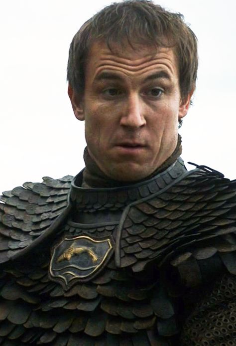 Edmure Tully, Jamie Lannister And Brienne, Lord Baelish, House Tully, Tobias Menzies, Game Of Thrones Winter, Fantasy Tv, Game Of Thrones Funny, King In The North