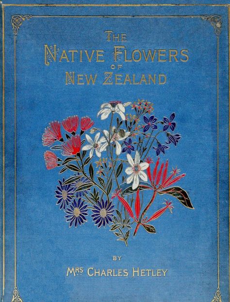 Native Flowers of New Zealand  (1888)  by Georgina Burne Hetley Nz Plants, Nz Native Flowers, New Zealand Plants Illustration, Nz Native Plants, New Zealand Flora And Fauna, Nz Bird Illustration, Free Online Library, Vintage Book Art, Plant Art