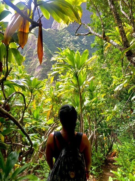 Hiking In Maui, Maui Aesthetic, Maui Hawaii Aesthetic, Hikes In Maui, Hafa Adai, Grad Trip, Hawaii Aesthetic, Island Lifestyle, Moving To Hawaii