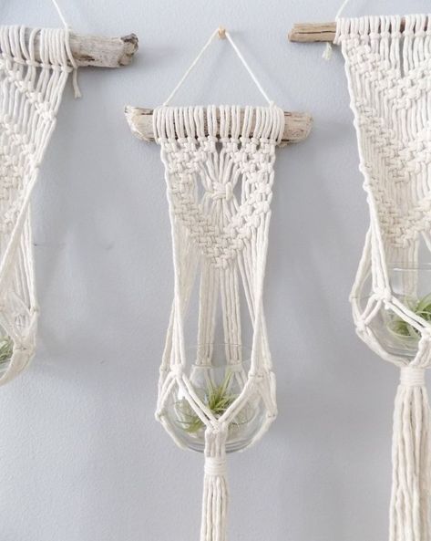 Beginning Macrame, Driftwood Plant Hanger, Driftwood Plant, Diy Macrame Wall Hanging, Art Macramé, Pola Macrame, Wall Plant Hanger, Macrame Plant Hanger Tutorial, Macrame Plant Hanger Patterns