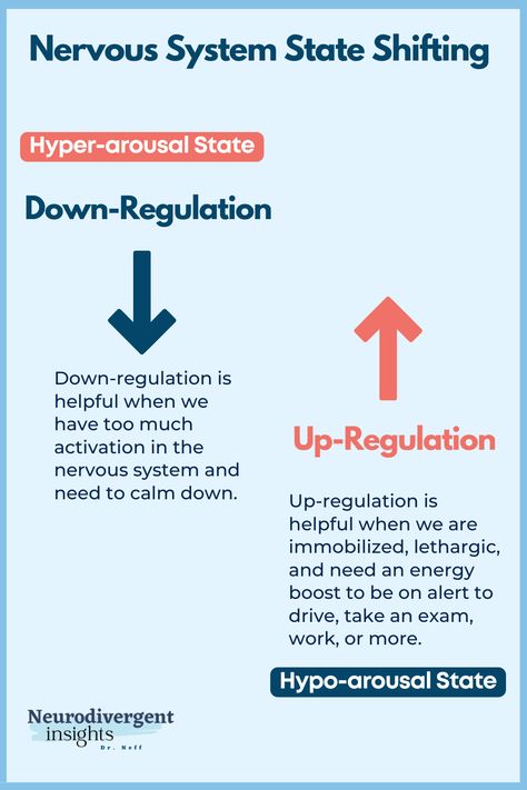 When it comes to regulating the function of the nervous system, understanding the concepts of up-regulation and down-regulation is essential. This refers to nervous system state-shifting. When we are sympathetic dominant, we benefit from down-regulation strategies, and when we trend toward parasympathetic dominance, we can benefit from upregulating practices. Hypoarousal Regulation, Tips To Regulate Nervous System, Nervous System Regulation Exercises, Freeze State Nervous System, Nervous System Regulation, Nervous System Regulation Tools, How To Heal A Disregulated Nervous System, Regulating Your Nervous System, Brain Nervous System