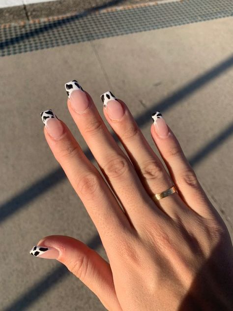 Cow Print Tips Nails, French Nails Cow Print, French Nails With Cow Print, Cow Print Short Acrylic Nails, Cow Print Coffin Acrylic Nails, Nails Inspiration Cow Print, French Tip Nails Cow Print, French Tip Nails With Cow Print, Cow Nails French Tip