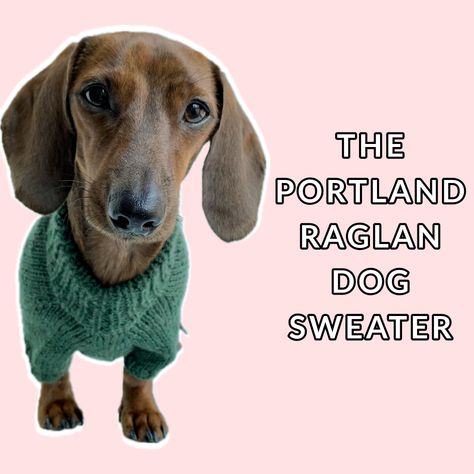 The Portland Raglan Dog Sweater has a classic construction with a folded neckband and harness hole. Check out the free knitting pattern here! Sweater Free Knitting Pattern, Crochet Dog Sweater Free Pattern, Crochet Tatting, Knitted Dog Sweater Pattern, Knit Crochet Patterns, Shrug Knitting Pattern, Knitting Patterns Free Dog, Dog Coat Pattern, Dog Sweater Pattern