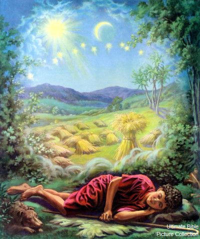 Joseph dreams of the sun, moon, and eleven stars were bowing down to him. Joseph Dreams, Vintage Bible, Bible Drawing, Bible Images, Bible Illustrations, Bible Characters, Bible Pictures, Bible Study Lessons, Christian Pictures