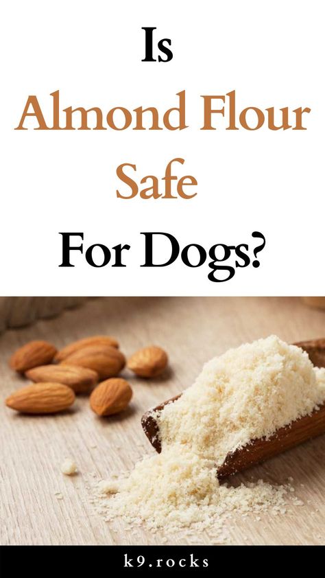 Dog Treats Made With Almond Flour, Almond Flour Dog Treats, Puppy Treats Homemade, Polyunsaturated Fats, Pup Treats, Almond Flour Bread, Dog Bread, Dog Treats Grain Free, Cheesy Chicken Broccoli