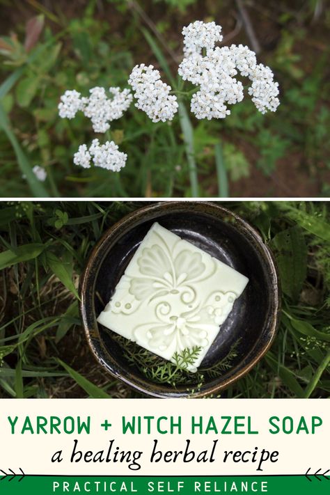 Yarrow grows just about everywhere in the summertime, and it’s an easy to forage medicinal herb that’s the perfect addition to natural facial soap. Soap Making For Beginners, Soap Making Recipes, Medicinal Herb, Healing Recipes, Soap Recipe, In The Summertime, Diy Body Care, Natural Facial, Homemade Soap Recipes