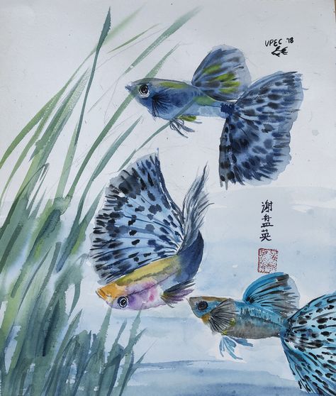 Blue Mosaic Guppies Water Color, 2018 Guppy Fish Tattoo Design, Guppy Fish Drawing, Fish Watercolor Painting, Fish Paintings, Fish Watercolor, Guppy Fish, Frog Wallpaper, Chinese Art Painting, Aqua Art