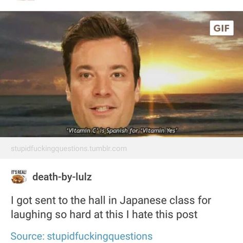 Why do I find this so funny help Japanese Amazon Finds, Nikko, Jimmy Fallon, Funny Me, Gag Gifts, Amazon Finds, Tumblr Funny, Funny Laugh, Funny Posts