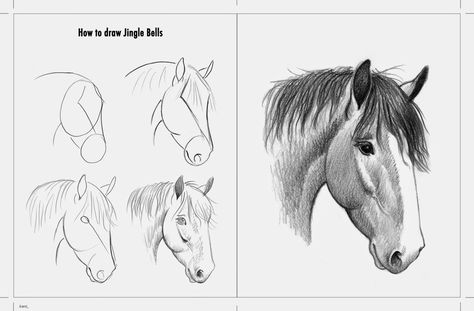 How To Draw Western Things, Horse Sketch Art, How To Draw Horses, Horse Drawing Tutorial, Drawing Horses, Painting On Canvas For Beginners, Horse Art Drawing, Pencil Drawings For Beginners, Horse Sketch