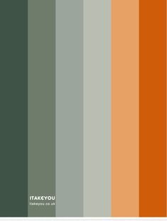 shades of sage green, rust and sage color hex, rust and sage color, sage green color, sage green color trend, rust and sage color combo, sage color palette, sage and rust, sage green and brown color combination, shades of sage green, what color looks good with sage, sage and brown color palette, sage colour scheme Green And Burnt Orange Color Palette, Rust Color Palette Bedroom, Sage And Orange Living Room, Rust Colour Combination, Sage Green Color Combinations, Sage Green Color Scheme, Sage Green Color Palette, Sage Green And Brown, Green Color Trends