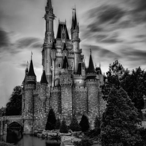 Cool Disney pic!! Hallway Pictures, Collage Pics, Scenic Photography, Disney Castle, Fun Shots, Thermal Printer, Happiest Place On Earth, Bw Photo, Magical Places