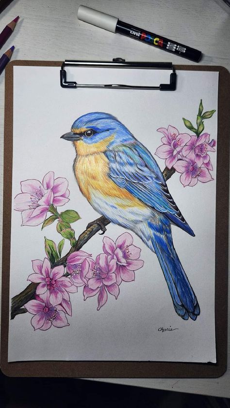 Pencil Colour Painting, Pencil Sketches Landscape, Butterfly Sketch, Color Pencil Sketch, Color Pencil Illustration, Paper Art Design, Pencil Drawings Of Animals, Fabric Painting Techniques, Nature Art Drawings