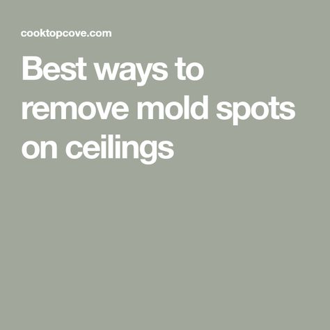 Best ways to remove mold spots on ceilings Cleaning Mold Off Bathroom Ceiling, Mold On Bathroom Ceiling, Bathroom Mold Remover, Remove Black Mold, Remove Mold, Toxic Mold, Leaky Roof, Cleaning Mold, Mold Removal