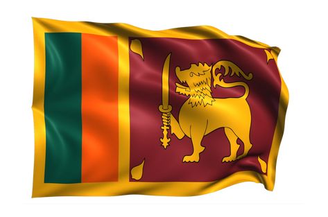 Sri Lanka Flag Art, Sri Lankan Flag, Sri Lanka Flag, Gb Flag, Flag Aesthetic, Waving Flag, Flag Art, Wallpaper Art, National Flag