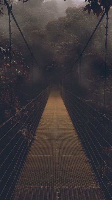 Dark-Forest-Bridge-Wallpaper-iPhone-Wallpaper - iPhone Wallpapers Screen Savers Wallpapers Backgrounds, Free Halloween Wallpaper, Bridge Wallpaper, Creepy Backgrounds, Halloween Wallpaper Backgrounds, Screen Wallpapers, Screen Savers Wallpapers, Witchy Wallpaper, Dark Phone Wallpapers