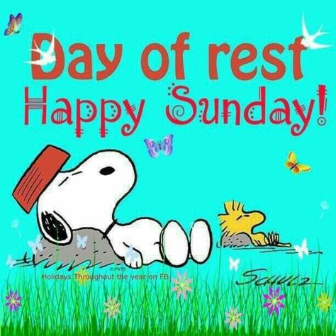 Top 50+ Awesome Sunday Images And Quotes Charlie Brown Quotes, Good Morning Snoopy, Sunday Pictures, Sunday Greetings, Peanuts By Schulz, Sunday Images, Snoopy Dog, Snoopy Comics, Good Morning Happy Sunday