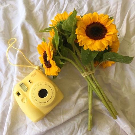 Picnic Photography, Nothing Gold Can Stay, Light Blue Aesthetic, Yellow Theme, Kushina Uzumaki, Simple Minds, Instagram Wallpaper, Yellow Wallpaper, Cute Couples Kissing