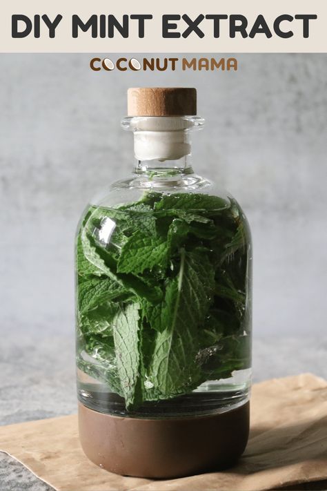 Learn how to make your own mint extract with this simple recipe using fresh mint leaves and vodka. Use this delicious herbal mint extract to make your own mint chip ice cream or favorite dessert. Diy Mint Extract, Using Fresh Mint, Shrub Recipe, Mint Desserts, Growing Mint, Mint Chip Ice Cream, Peppermint Hot Cocoa, Peppermint Brownies, Mint Extract