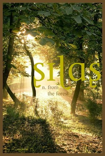 Baby Boy Name: Silas. Meaning: From the Forest. Origin: Greek. http://www.pinterest.com/vintagedaydream/baby-names/ Silas Name Meaning, Names Meaning Forest, Forest Names, Names Nature, Boy Background, Baby Boy Background, Baby Boy Name, Girl Names With Meaning, Fantasy Names