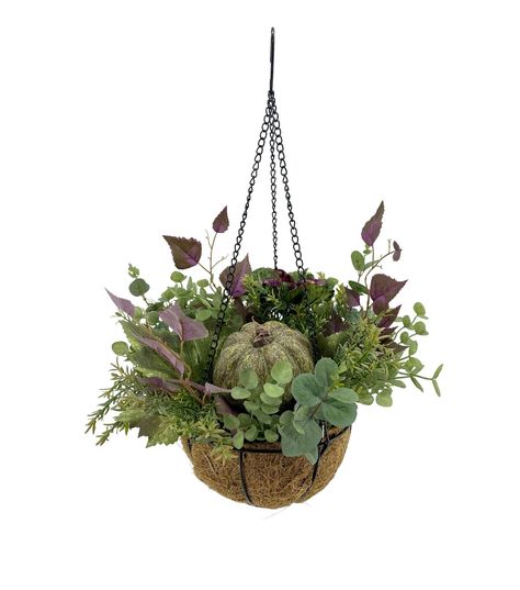 Bring the Beauty of Fall into Your Home with the 13" Fall Green Pumpkin & Herb Hanging Basket by Bloom RoomTransform your home into a comfy autumn oasis with the 13" Fall Green Pumpkin & Herb Hanging Basket by Bloom Room This stunning piece features a beautiful blend of fall colors and textures that will instantly elevate your decor Whether you hang it on your front porch or in your living room, this hanging basket is sure to impressWith its materials and craftmanship, this hanging basket is designed to last for years to come The combination of polyester, pe, iron, coconutfiber, and styrofoam ensures that it is both durable and lightweight, making it easy to hang and display wherever you chooseProduct DetailsDimensions: 13 x 13 x 11 inchesMaterials: polyester, pe, iron, coconutfiber, styro Fall Hanging Baskets Front Porches, Herb Hanging, Fall Hanging Baskets, Hanging Ferns, Artificial Hanging Baskets, Fall Green, Fall Floral Arrangements, Green Pumpkin, Container Gardens