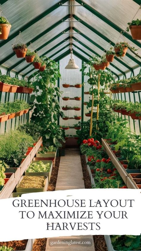 Simple Greenhouse Design, Diy Patio Greenhouse, Best Greenhouse Design, Where To Put Greenhouse, 8x6 Greenhouse Layout, Long Narrow Greenhouse, Greenhouse In Backyard, Greenhouse Setup Inside, Growing In A Greenhouse Tips