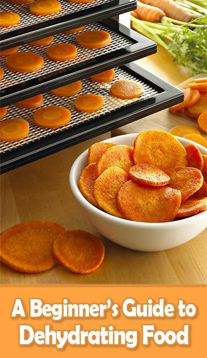 There are many benefits that come along with your food dehydrator. Follow our beginner's guide to dehydrating food and you'll be a pro in no time! Dehydrating Food Storage, Food Dehydration, Dehydrating Food, Dehydrated Vegetables, Food Dehydrator, Dehydrated Fruit, Dehydrated Food, Dehydrator Recipes, Diet Keto