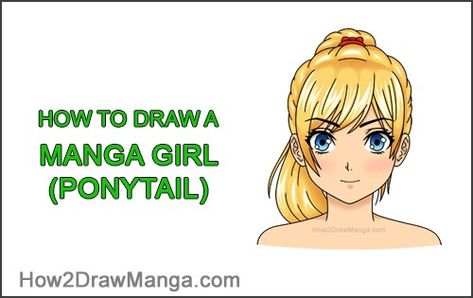 Anime Ponytail Front View, How To Draw Ponytails, Ponytail Front View, Anime Ponytail, Ponytail Drawing, Face Template, Drawing Tutorials For Beginners, Draw Manga, Basic Girl