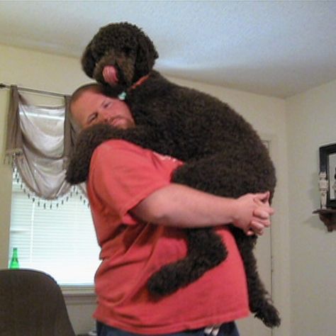 Big Dog Demands To Be Held Like A Baby Holding Dog Pose, Dog Reference, Apocalypse World, Dog Poses, Up Dog, Figure Poses, Big Dog, How Big Is Baby, Baby Gif