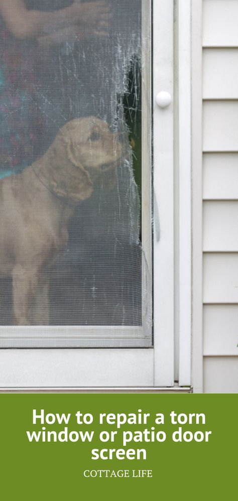 How to repair a torn window or patio door screen. We’ve probably all had the experience of waking up at the cottage to discover that the mosquitoes found their way into the building through a torn screen and spent the night feasting on you while you slept. Here’s how to repair damaged window and patio door screens so you can sleep soundly. Repair Screen Door, Replacing Screen In Screen Door, How To Replace Screen On Screen Door, How To Fix A Screen Door, Screen Repair Diy, Outdoor Upgrades, Screen Door Repair, Patio Repair, Old Window Screens