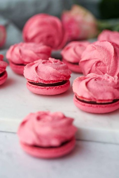 Chocolate Raspberry Macarons, Easy Macarons, Easy Quick Recipes, Raspberry Macarons, Dark Chocolate Raspberry, Macaron Flavors, Dark Chocolate Ganache, Macaron Cookies, French Macaroons