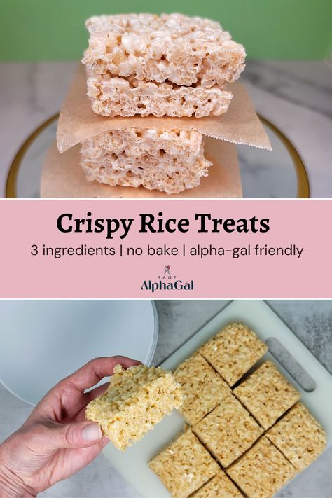 Alpha Gal Friendly Desserts, Alpha Gal Desserts, Alpha Gal Friendly Dessert Recipes, Alphagal Allergy Recipes, Alphagal Safe Recipes, Alpha Gal Dessert Recipes, Alpha Gal Friendly Recipes, Alpha Gal Recipes, Wic Recipes