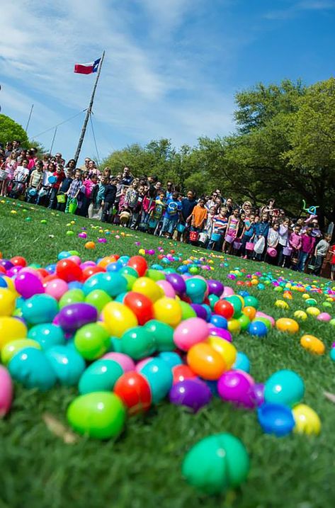 10 of the Best Easter Egg Hunts Across the Country The Fam, Easter Sunday, Easter Fun, Easter Egg Hunt, Egg Hunt, Photography Inspo, Easter Egg, Easter Eggs, This Year