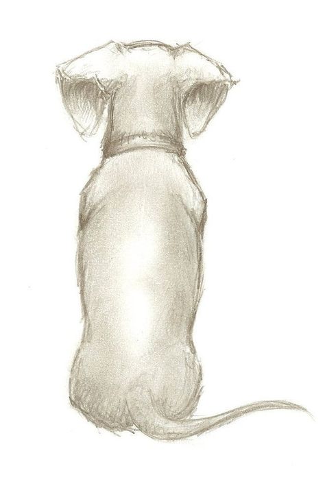 Arte Dachshund, Dachshund Drawing, Doxie Art, Dachshund Tattoo, Dachshund Art, Weenie Dogs, Dachshund Lovers, Dachshund Love, Weiner Dog