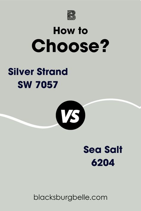 Silver Strand Paint, Sherwin Williams Silver, Sherwin Williams Silver Strand, Sea Salt Paint, Sea Salt Sherwin Williams, Silver Mist, Silver Strand, Green Paint Colors, Best Paint Colors