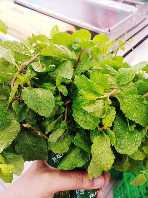 Daun Mint, Parsley, Herbs, Mint, Flowers