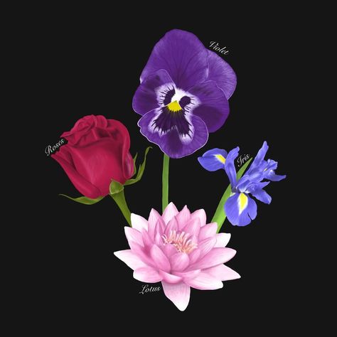 Roses/Lotus/Violet/Iris digital drawing Roses Lotus Violet Iris, Iris Tattoo, Iris Art, Hayley Williams, Society6 Art, Black Art, Abstract Prints, Artwork Prints, Wall Prints