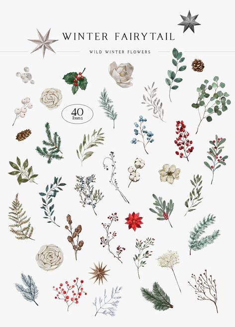 A set of 12 watercolor illustrations of winter greenery, perfect for adding a touch of nature to your holiday cards, gift wrap, or home Leaf Christmas Tree, Watercolor Autumn Leaves, Christmas Stock Photos, Winter Greenery, Christmas Plants, Winter Watercolor, Winter Illustration, Watercolor Set, Floral Drawing