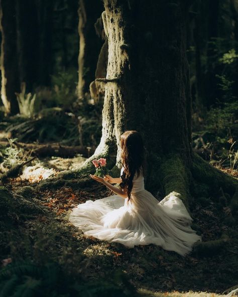 Part 1/2 of this incredibly dreamy forest session with Aryana:) When she reached out she mentioned she was after moody forest vibes and what better place to go than Golden Ears Park. It was my first time there and it kinda blew me away and was so so perfect for what we were going for👌🏻😍 Moody Forest Photoshoot, Dreamy Forest, Forest Vibes, Moody Forest, Brand Board, Lifestyle Photographer, Intimate Wedding, Places To Go, First Time