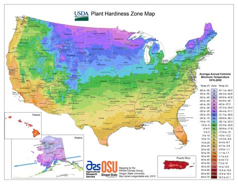 The 2012 USDA Hardiness Zone Map (National Gardening Association) Planting Zones Map, States Video, Plant Hardiness Zone Map, Economic Collapse, Planting Calendar, Climate Zones, Risk Analysis, Gardening Zones, Plant Zones