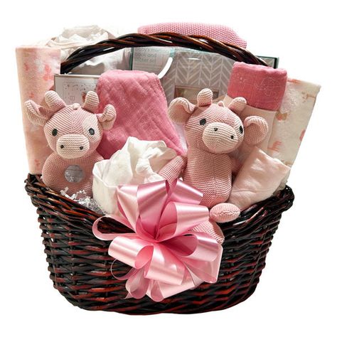 Newborn baby gift basket